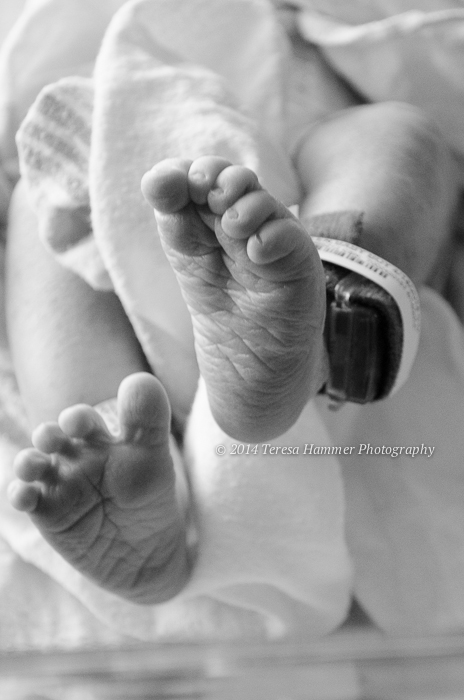 So new| Freeport, IL Newborn Photographer