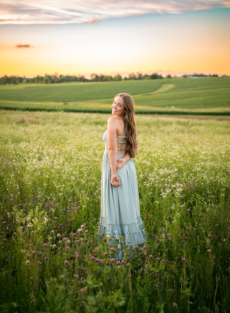 lena illinois flower field